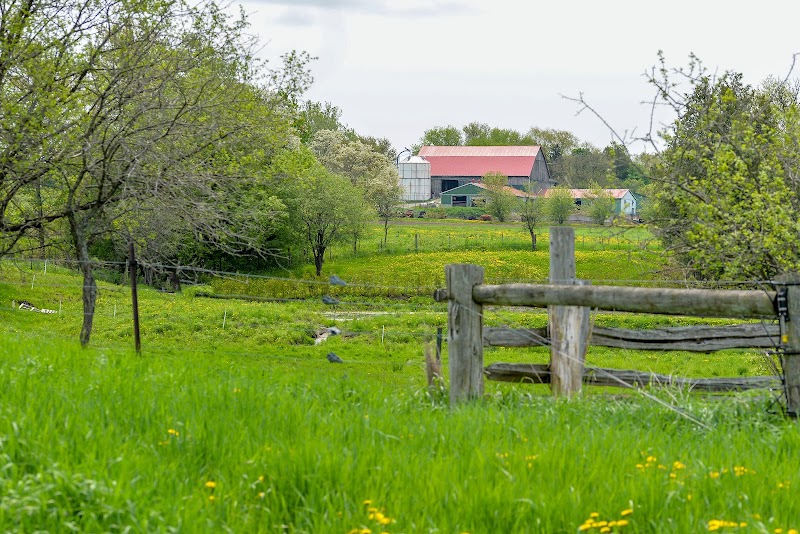 Willowtree Farm photo 2