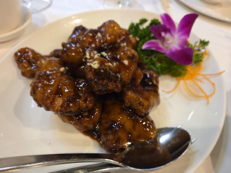 Bamboo House Chinese Restaurant Melbourne photo 6