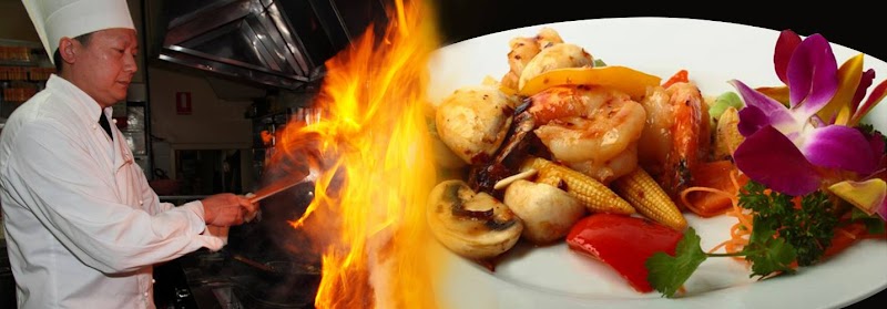 Bamboo House Chinese Restaurant Melbourne photo 3