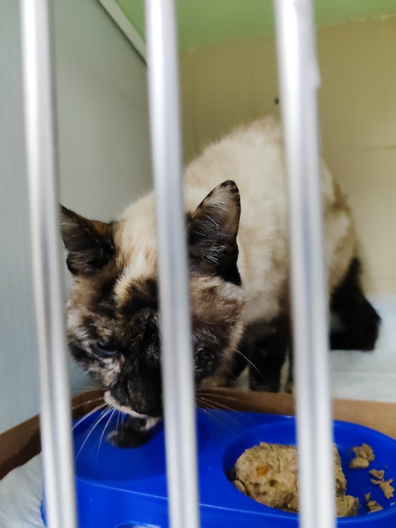 Centro Veterinario Valentina del Río photo 3