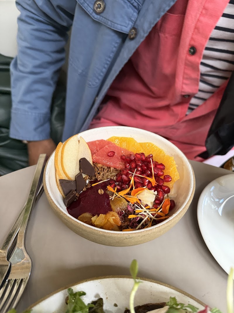 Public Records photo 4