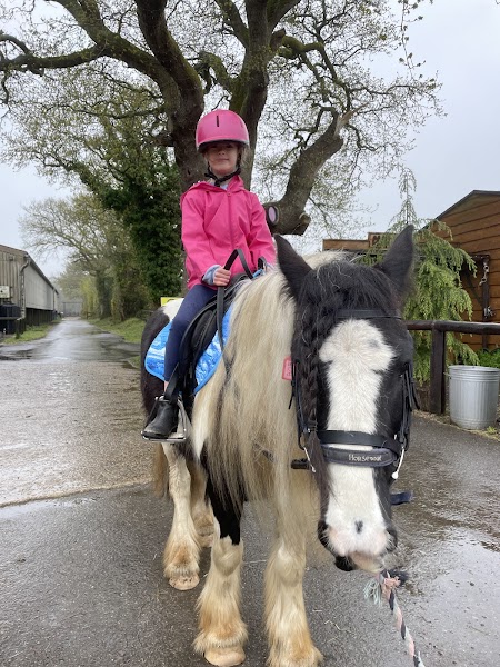 Burley Villa School of Riding