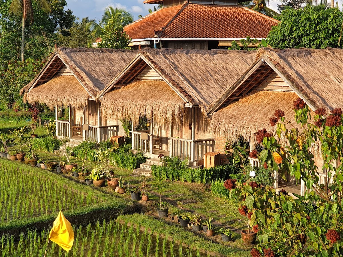 Bali Silent Retreat — 4