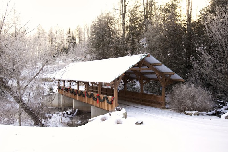 Cedar Hill Christmas Tree Farm photo 1