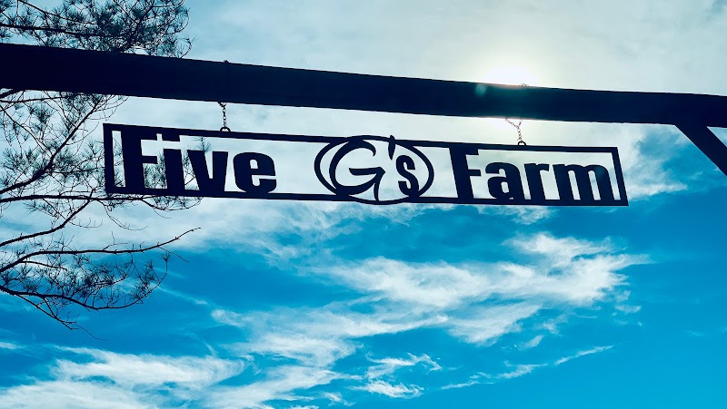 Five G's Farm - Photo 6