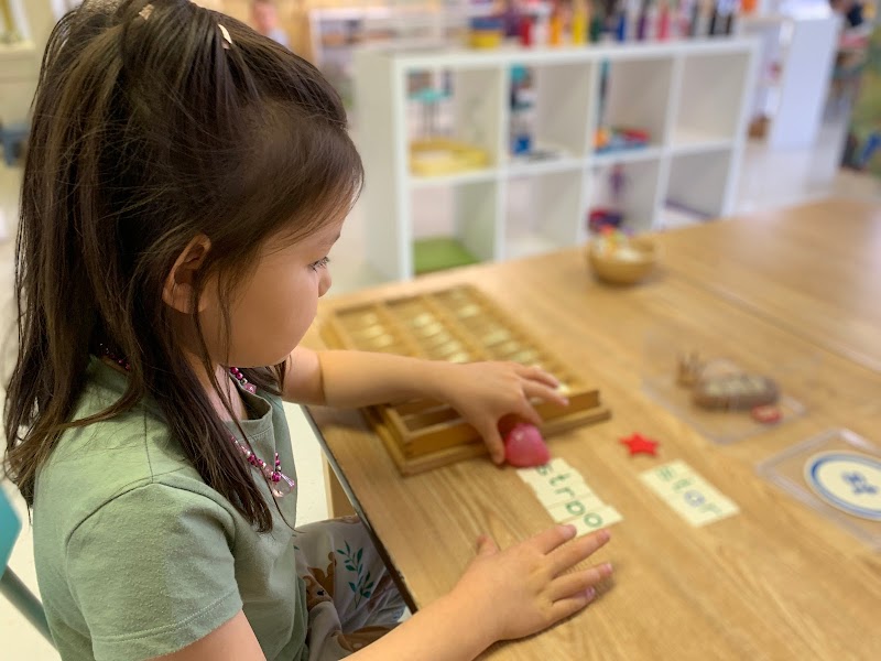 Crestwood Montessori School photo 3