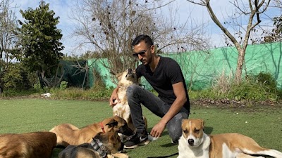 ארז כהן אילוף כלבים