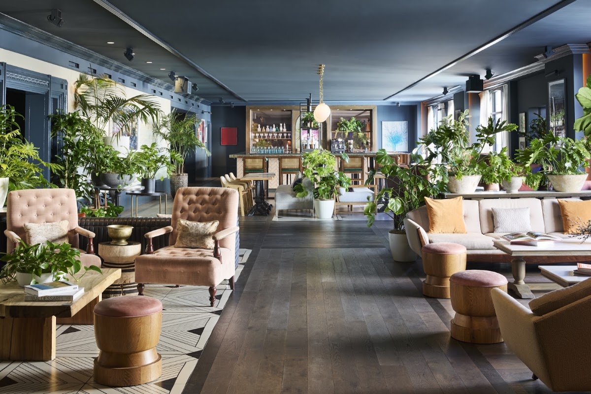 The Aster, dog-friendly hotel, photo 4