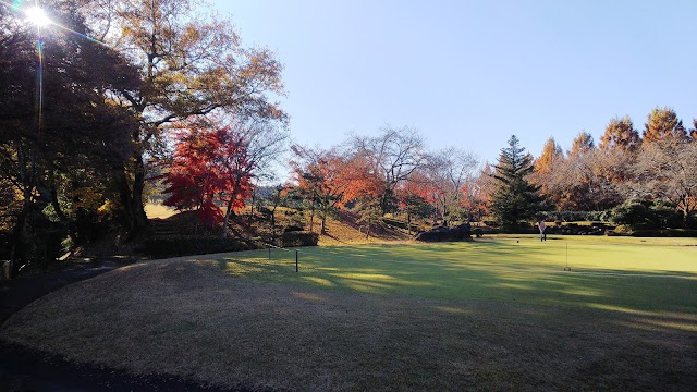 Hanno Park Country Club - Photo 4