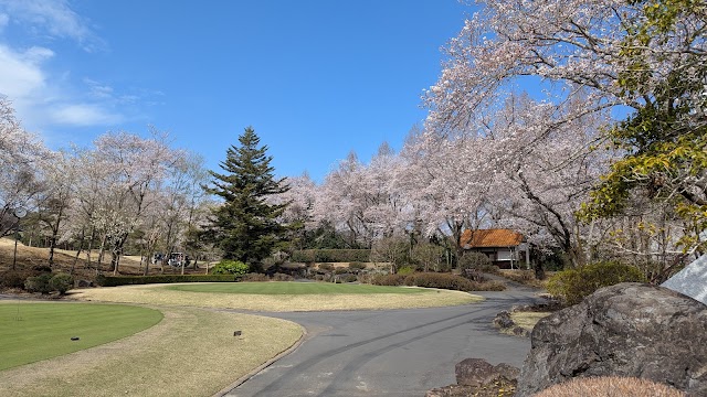 Hanno Park Country Club - Photo 2