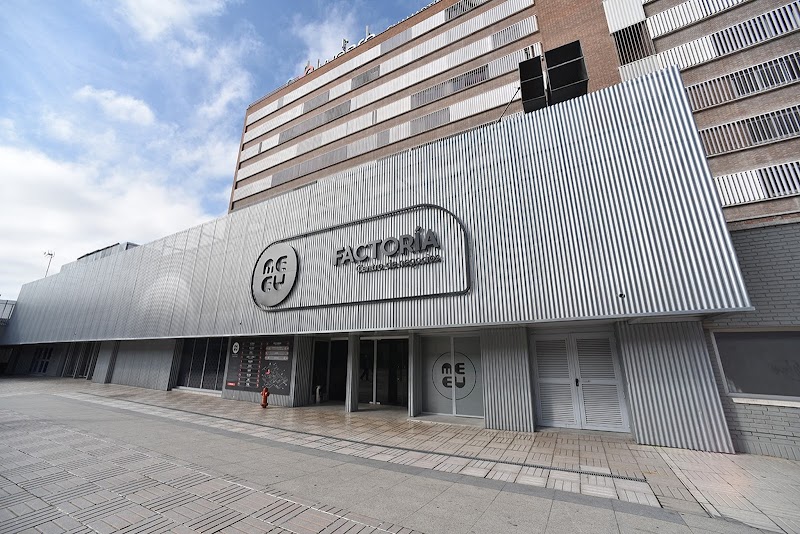 Campamentos Xpert-camps