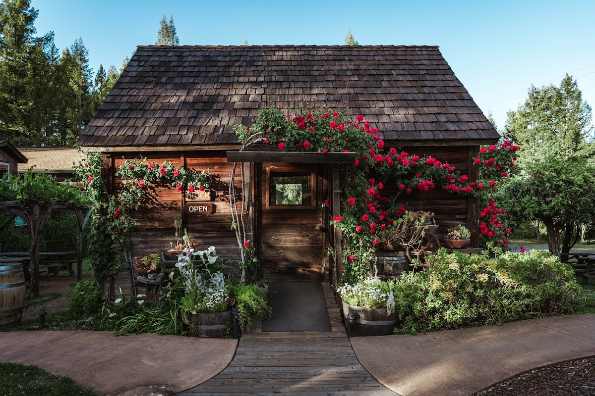 Husch Vineyards & Winery