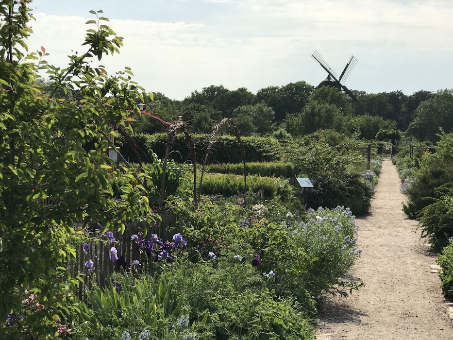 Slottsträdgården fotoğraf 1