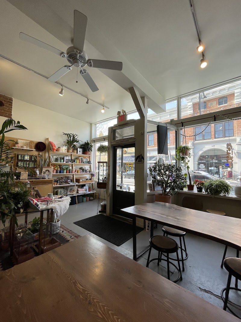 Howl Mercantile & Coffee photo 3