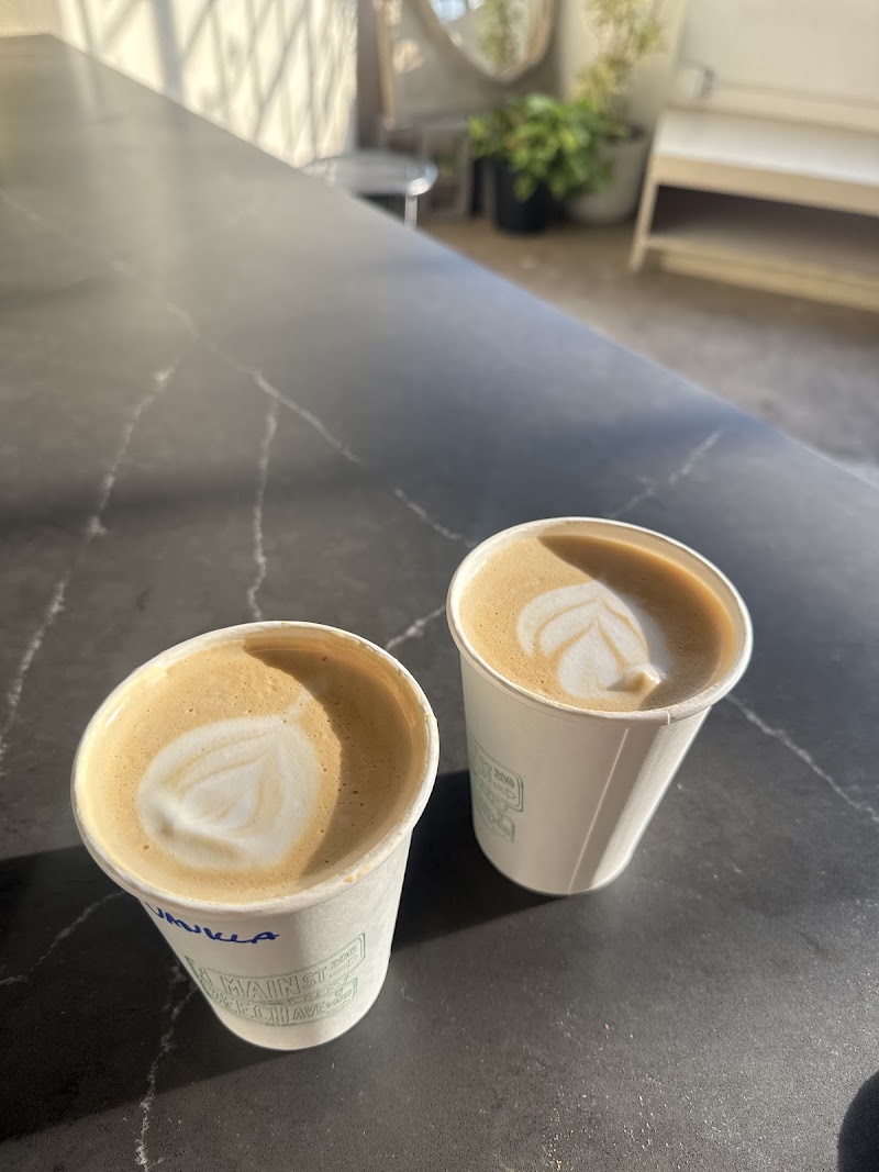Nerve Coffee photo 4