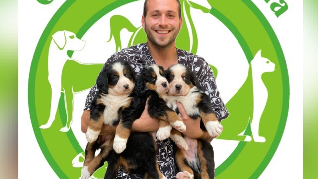 Clínica Veterinaria Triunfo Jardín