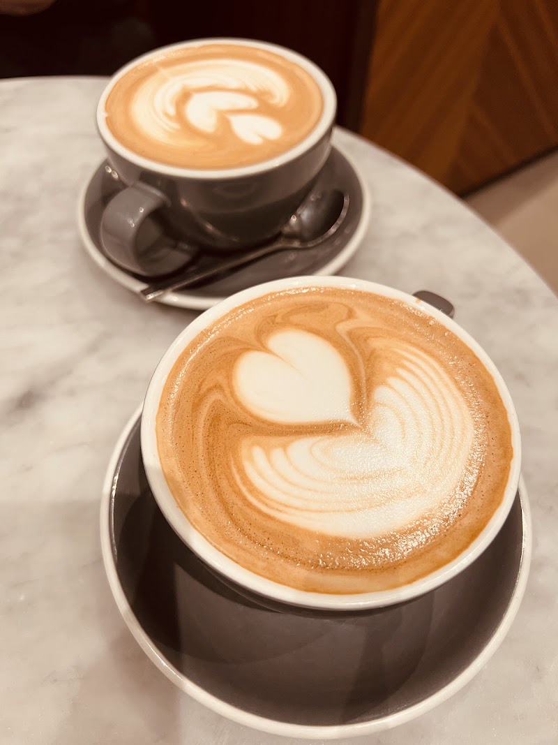 Black Fox Coffee photo 4
