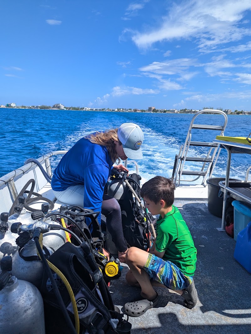 DNS Diving photo 2