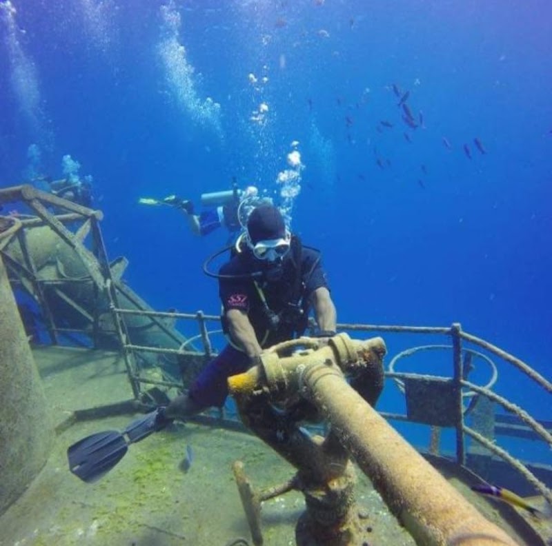 DNS Diving