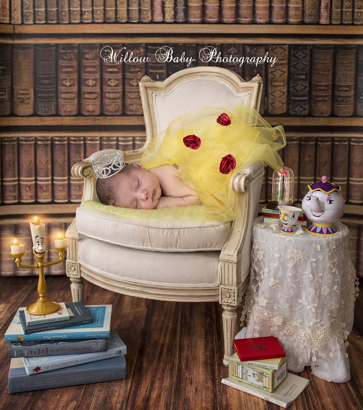 Willow Baby Photography: Google Places image 4