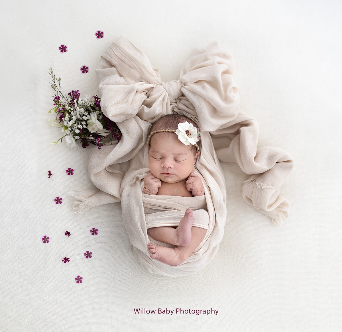 Willow Baby Photography: Google Places image 3