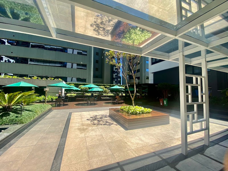 Dra Paula Bolonhez | Dentista no Cabral - foto 3