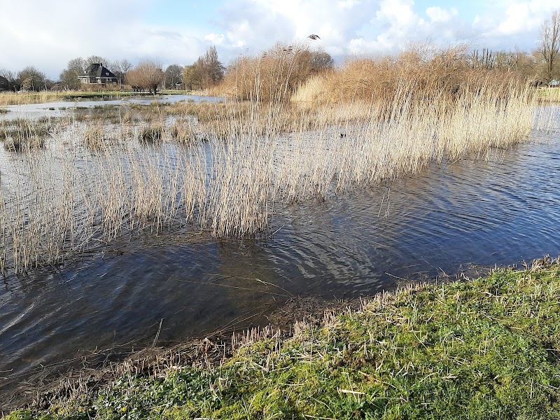 Park Wilgenhorst