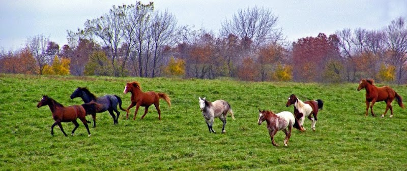 7A Ranch - Photo 3