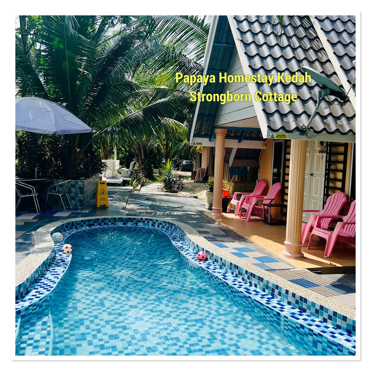 Papaya Homestay Kedah (Papaya Village Resort) Felda Teloi Kanan, Kedah 3