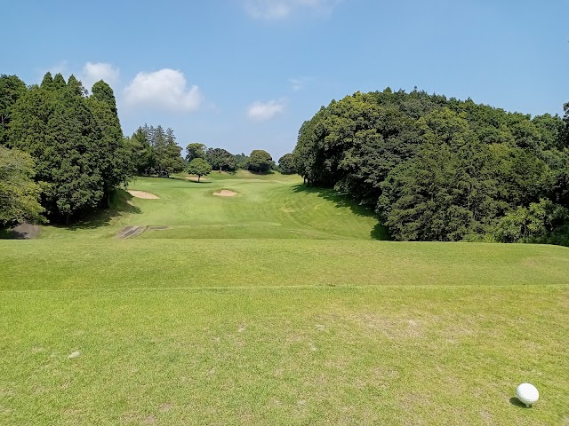 Diamond Green Club - Photo 1
