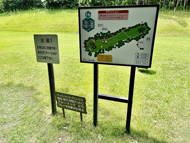 Diamond Green Club - Photo 5