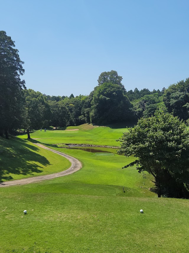 Diamond Green Club - Photo 6