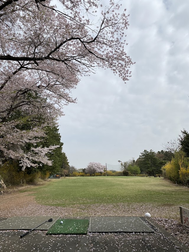 Mamada Garden Golf Center - Photo 6