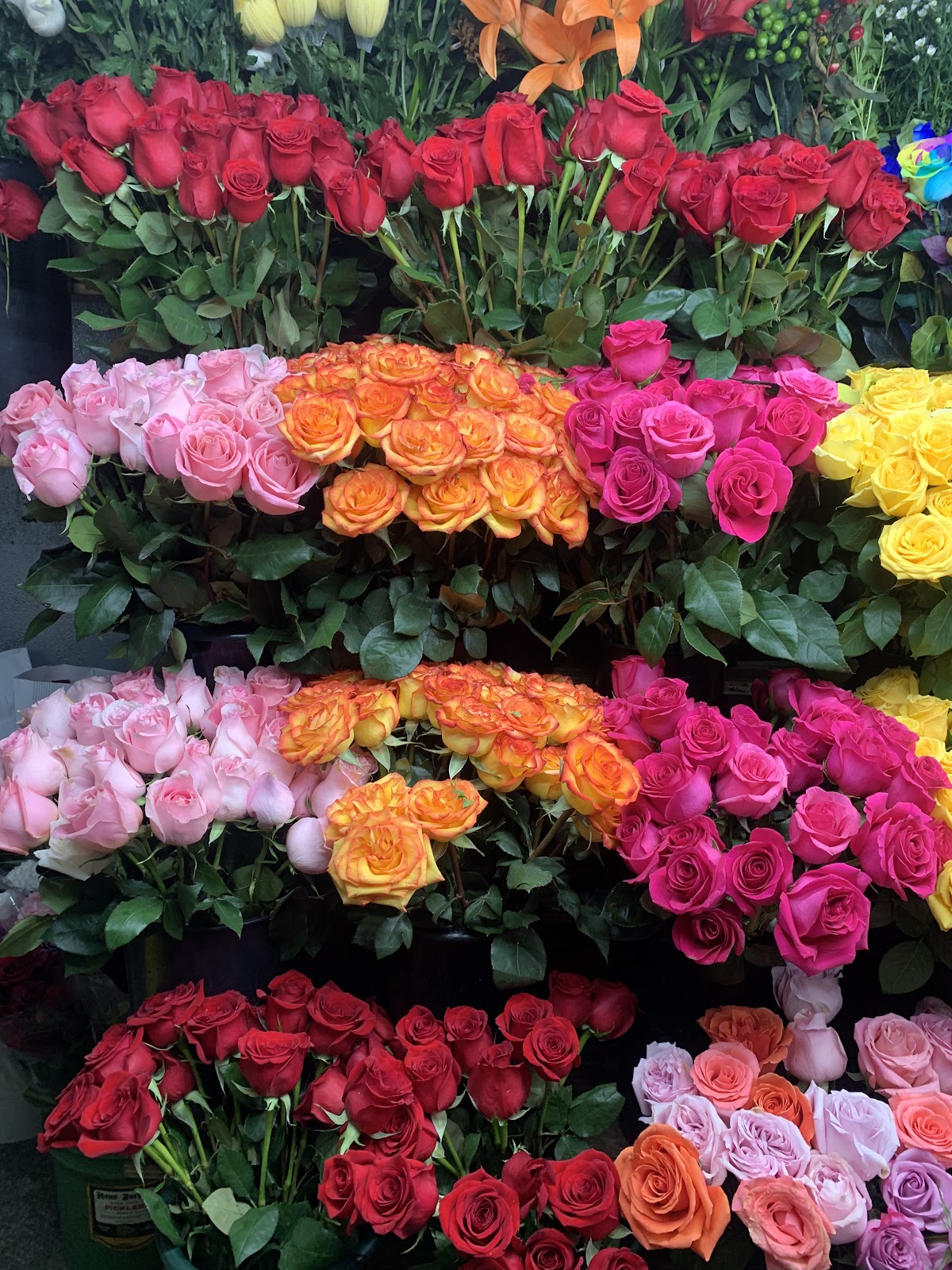 Plantas y Flores Fordham Corp.: Google Places image 4