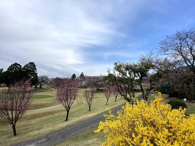 Miyajima Country Club - Photo 6