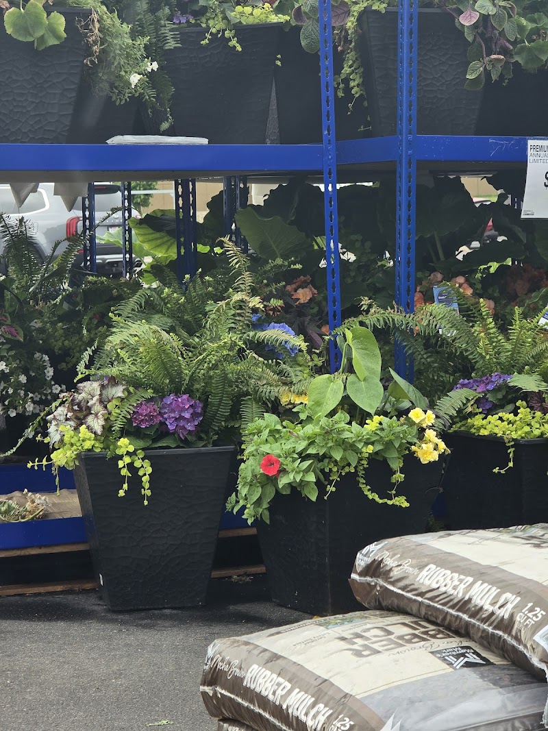 Sam's Club Cafe photo 4