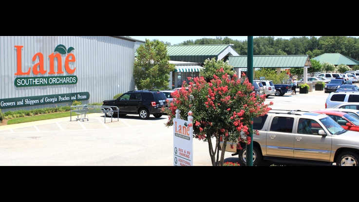 Lane Southern Orchards photo 1