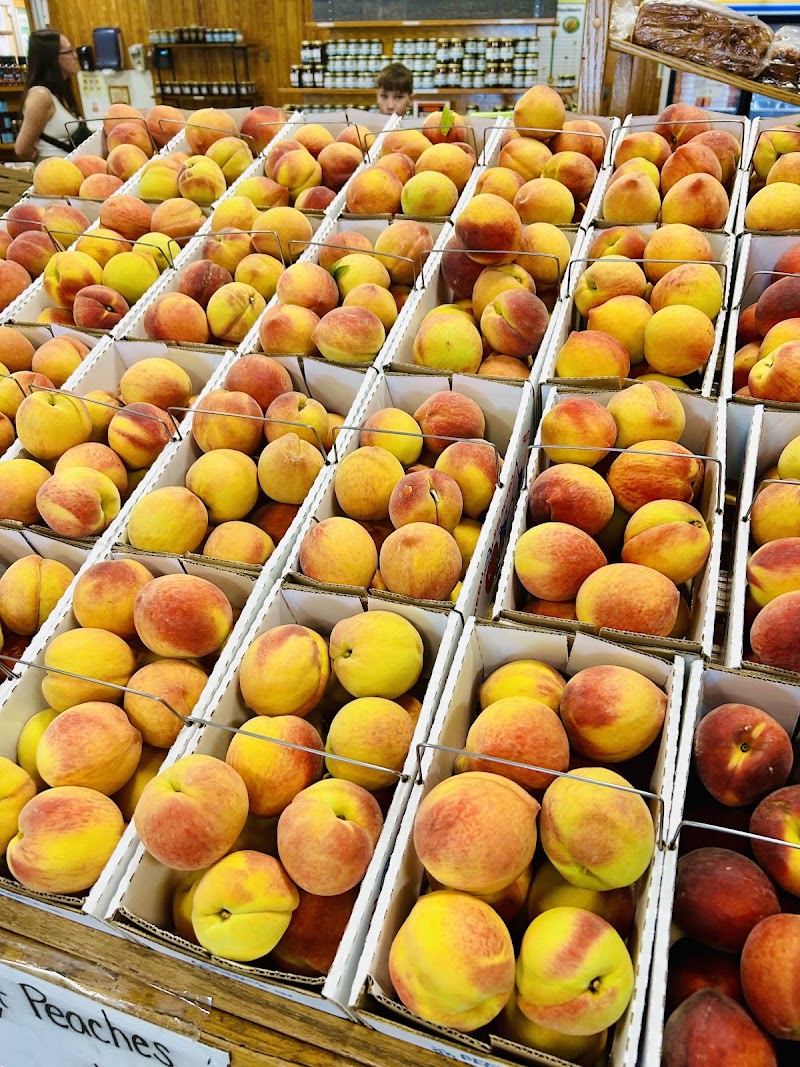 Lane Southern Orchards photo 3