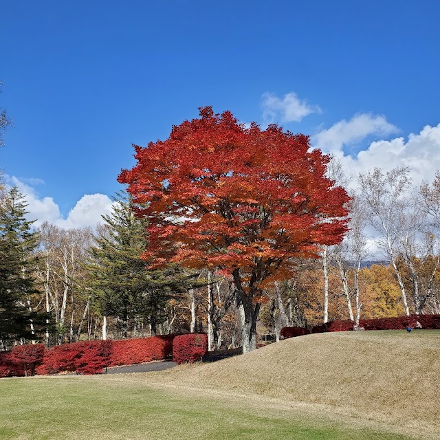 Tateshina Kogen Country Club - Photo 3