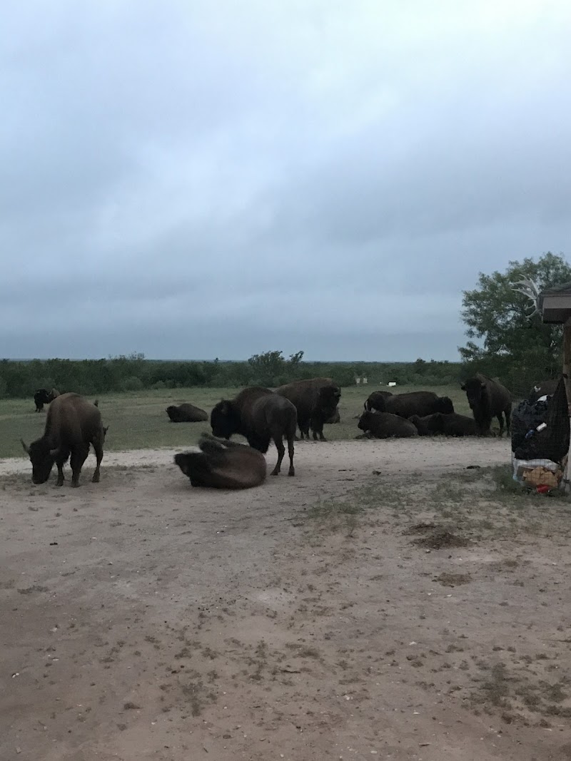Tatonka Creek Ranch - Photo 3