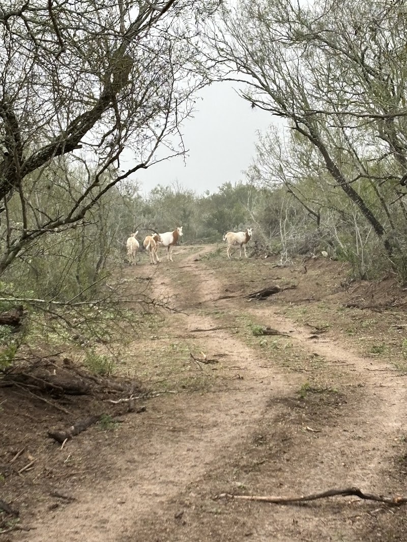 Tatonka Creek Ranch - Photo 6