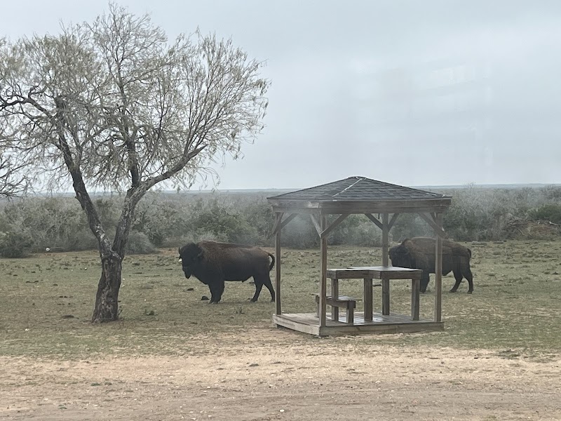 Tatonka Creek Ranch - Photo 2