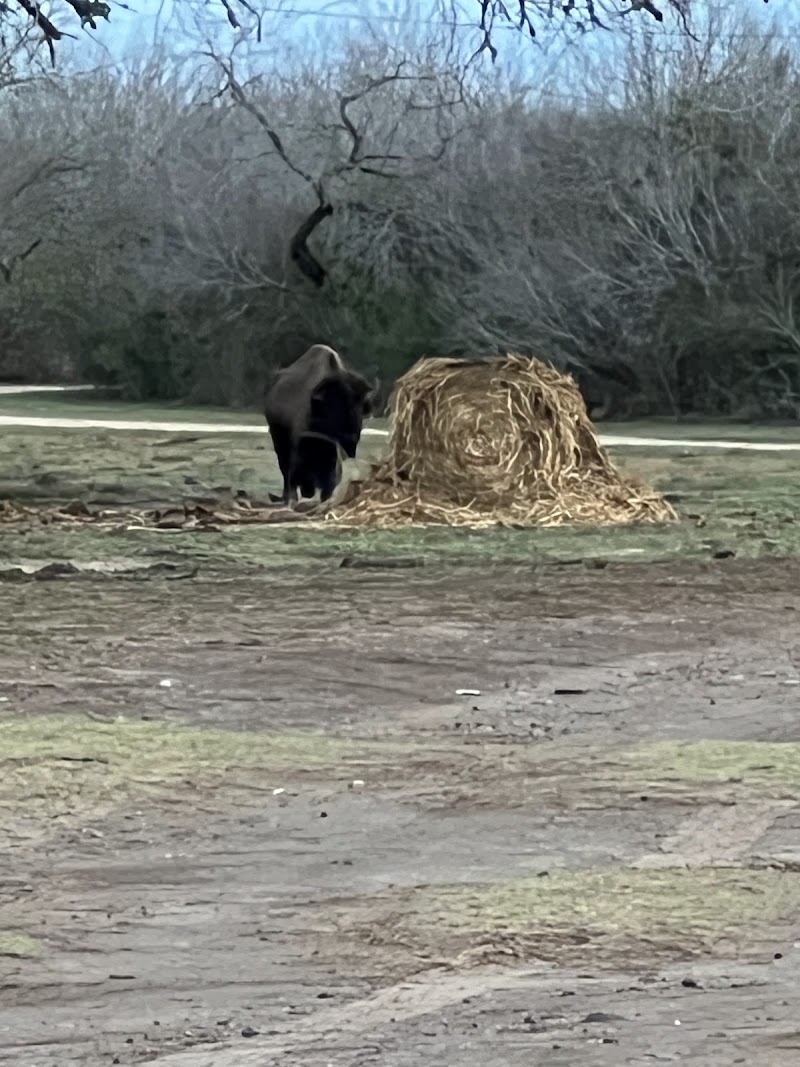 Tatonka Creek Ranch - Photo 5