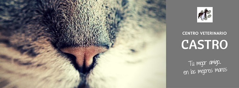 Centro Veterinario Castro