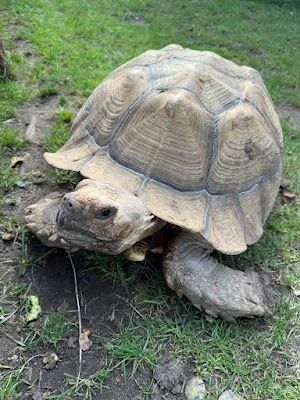 Biberhof im Spreewald