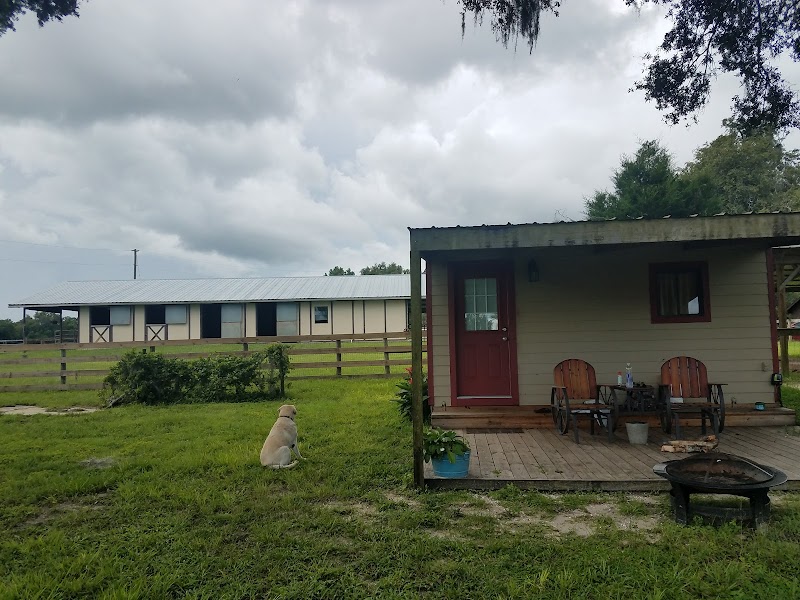 Triple C Ranch - Photo 6