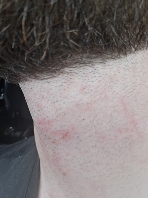 Moe & Co. Ashfield photo 3