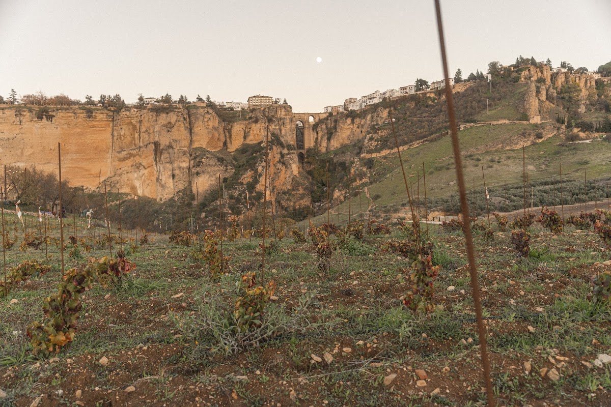 Samsara Wine Experience
