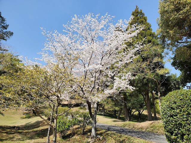 Saga Country Club - Photo 8