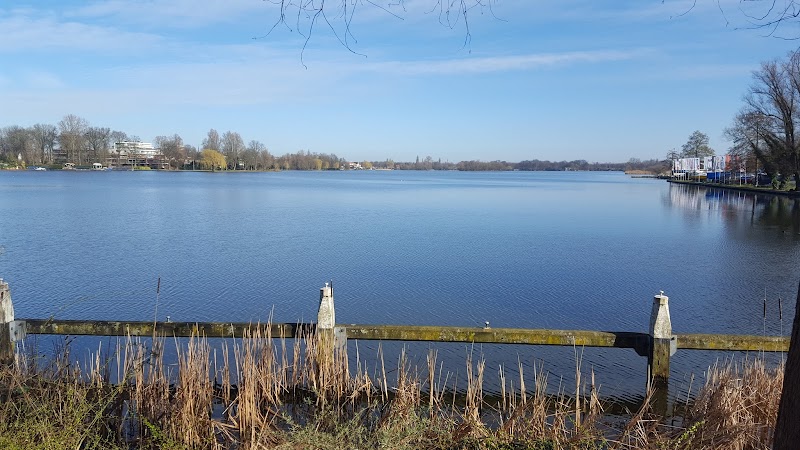 Bergse Voorplas